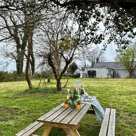 Lemonade Kilrush