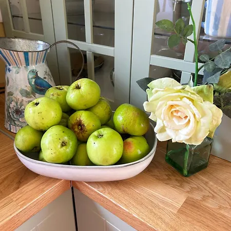 Lemonade Kilrush