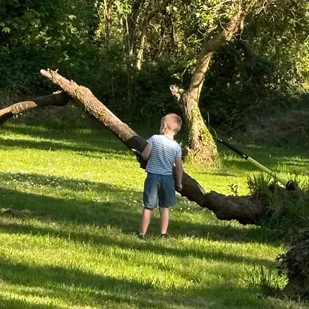 Lemonade בית נופש *