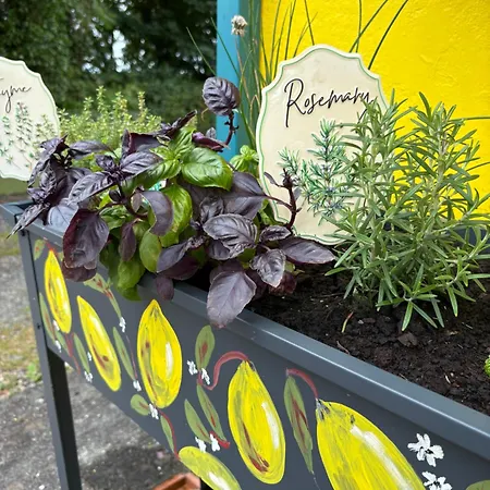 Дом отдыха Lemonade