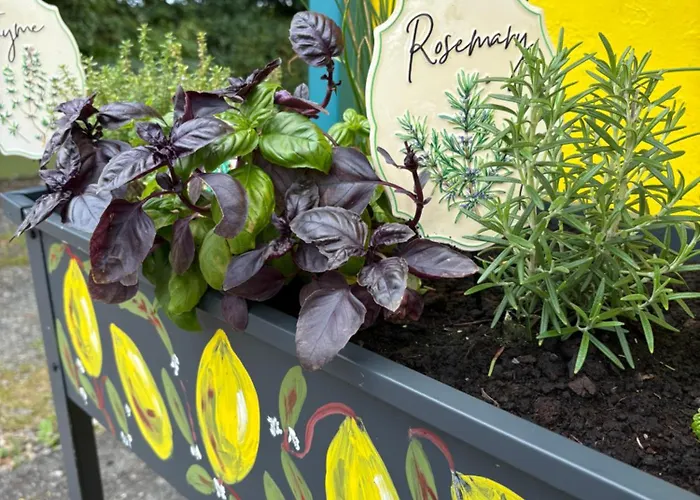 Prázdninový dům Lemonade